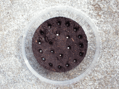 img_20081107T163826781