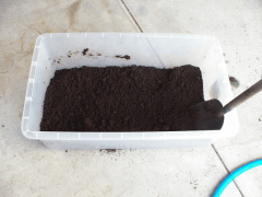 img_20100824T0504283593