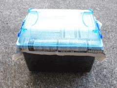 img_20100824T0504379533