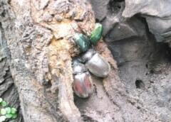 img_20120912T142025503