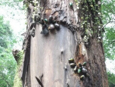 img_20120912T142027347