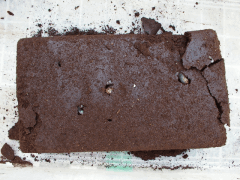 img_20090523T224303984