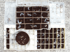 img_20090523T224310281