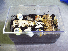 img_20080801T16130682811