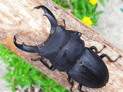 img_20100330T152640296