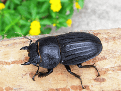 img_20100330T152642296