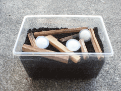 img_20100824T0504325623