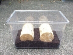 img_20130207T154755203