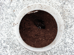 img_20090623T201246695