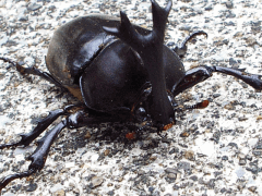 img_20090623T201250664