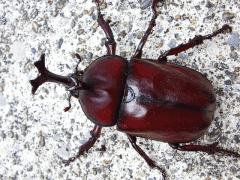 img_20090623T201252664