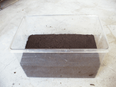 img_20100824T05042976532