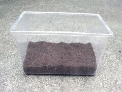 img_20130207T154754578