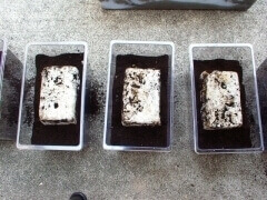 img_20130207T154759796