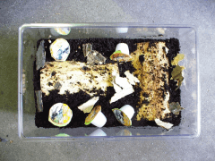 img_20080801T1613085312