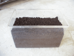 img_20100824T0504311401