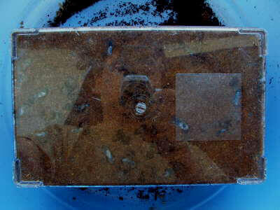 12544407697a82f7c736732078c4729a