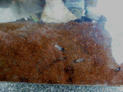 9e081c67378c616b2d91213d706ed862