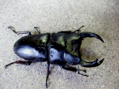 file_20111215T110120140