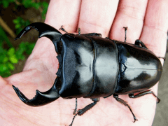 img_20081222T110942359 - コピー