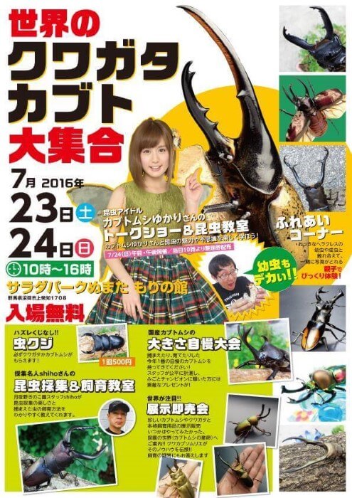 2016年サラパチラシ