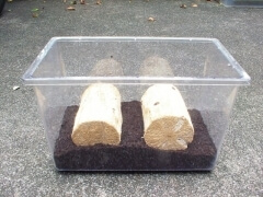 img_20080924T185950078