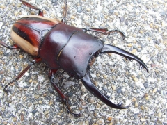 画像003 027 画像003 027