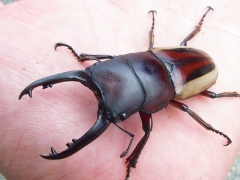 画像003 028 画像003 028