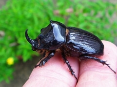 画像003 002 画像003 002