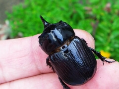 画像003 0011 画像003 0011