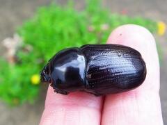 画像003 001 画像003 001