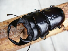 画像003 026 画像003 026