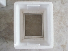 img_2011121 img_2011121