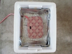 img_2011122 img_2011122