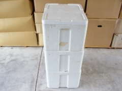 img_2012125 img_2012125