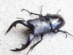 img_20070919T170443984 img_20070919T170443984