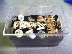 img_20080801T161306828 img_20080801T161306828