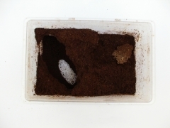 img_20070228T205646656 img_20070228T205646656