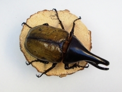 img_20070228T205642515 img_20070228T205642515