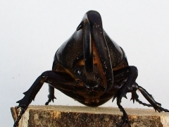 img_20070228T205643875 img_20070228T205643875