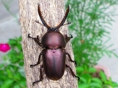 img_20120202T084050312 img_20120202T084050312