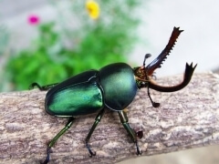 img_20120202T084052265 img_20120202T084052265