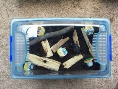 img_20080510T090501468 img_20080510T090501468