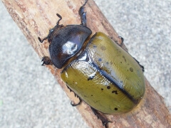 画像003 014 画像003 014