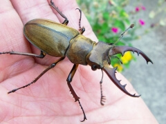 画像003 004 画像003 004