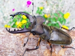 img_20100401T040304843 img_20100401T040304843