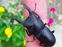 img_20100220T230240531 img_20100220T230240531