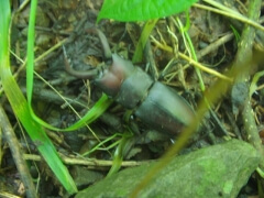 画像003 089 画像003 089