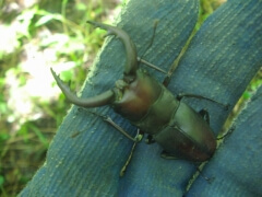 画像003 091 画像003 091