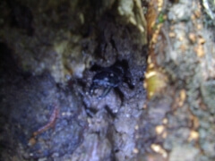 画像003 100 画像003 100